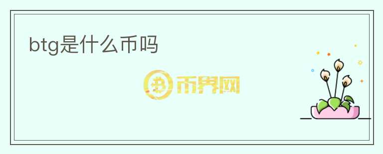 btg是什么幣嗎