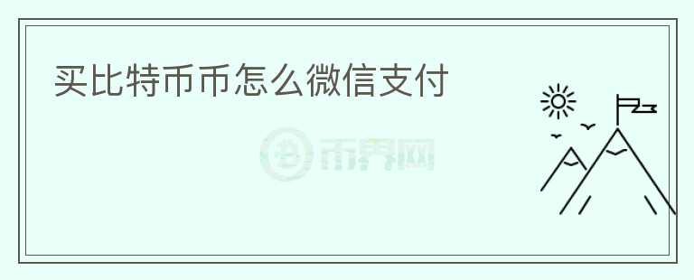 買比特幣幣怎么微信支付