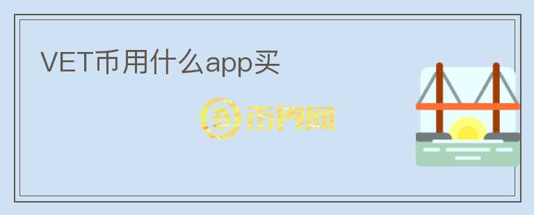 VET幣用什么app買