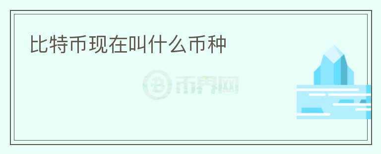 比特幣現(xiàn)在叫什么幣種