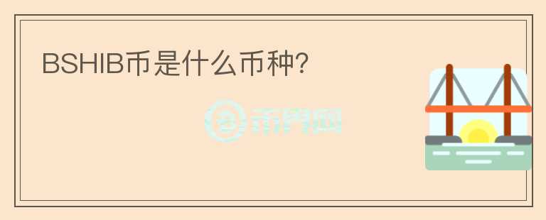 BSHIB幣是什么幣種？