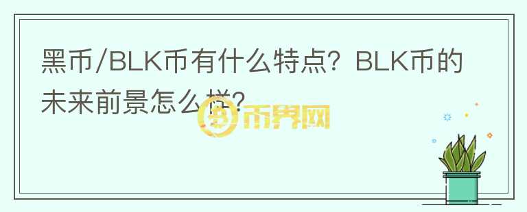 黑幣/BLK幣有什么特點？BLK幣的未來前景怎么樣？