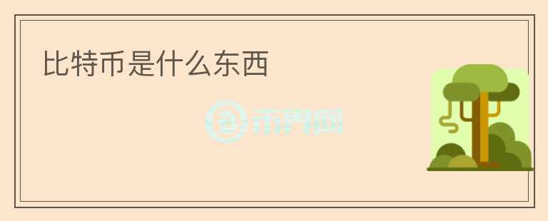 比特幣是什么東西