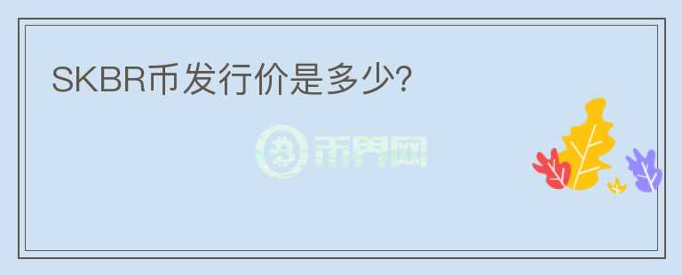 SKBR幣發(fā)行價是多少？