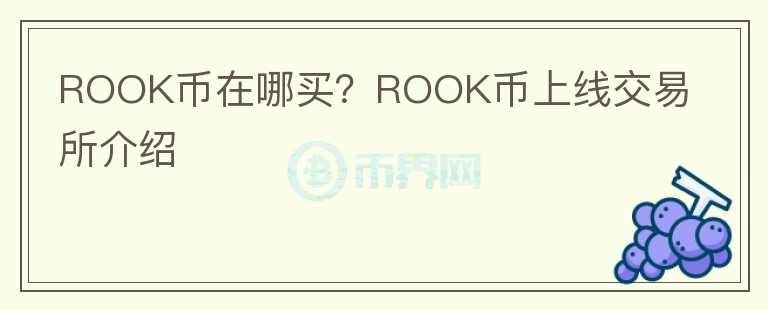 ROOK幣在哪買？ROOK幣上線交易所介紹