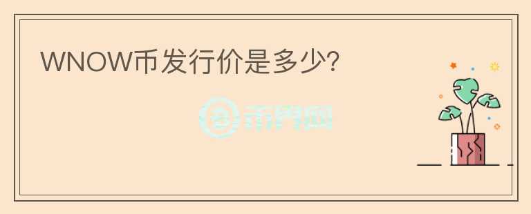 WNOW幣發(fā)行價(jià)是多少？