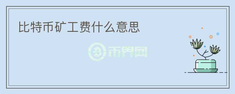 比特幣礦工費(fèi)什么意思