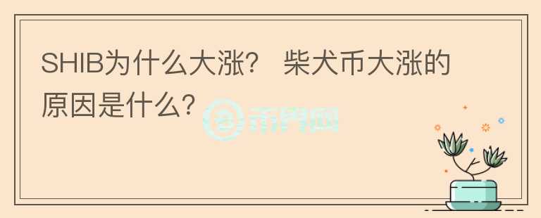 SHIB為什么大漲？ 柴犬幣大漲的原因是什么？