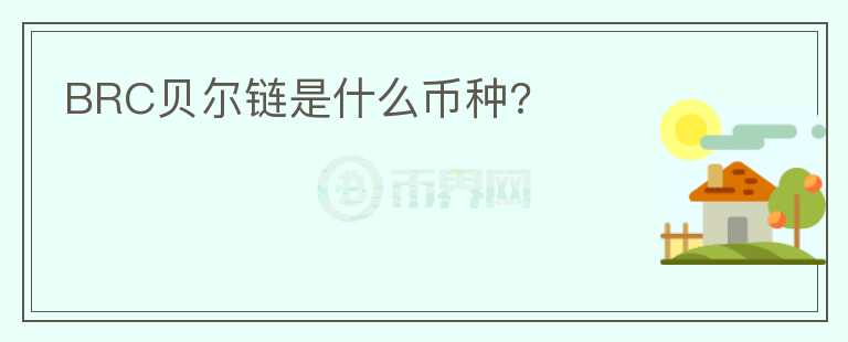 BRC貝爾鏈?zhǔn)鞘裁磶欧N?