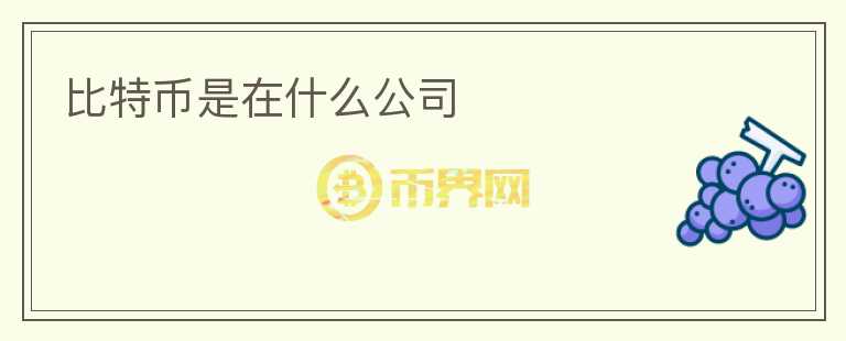 比特幣是在什么公司