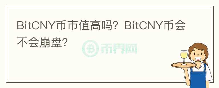 BitCNY幣市值高嗎？BitCNY幣會(huì)不會(huì)崩盤(pán)？