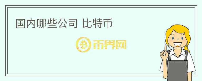 國內(nèi)哪些公司 比特幣