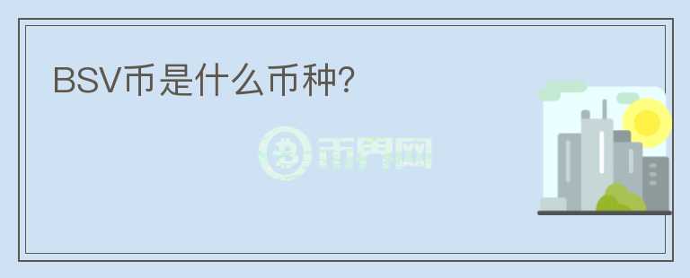 BSV幣是什么幣種？