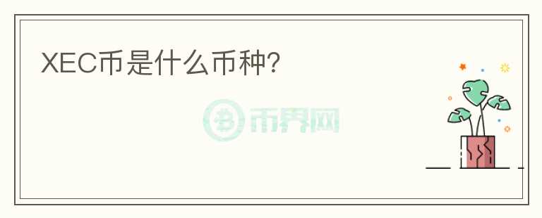 XEC幣是什么幣種?