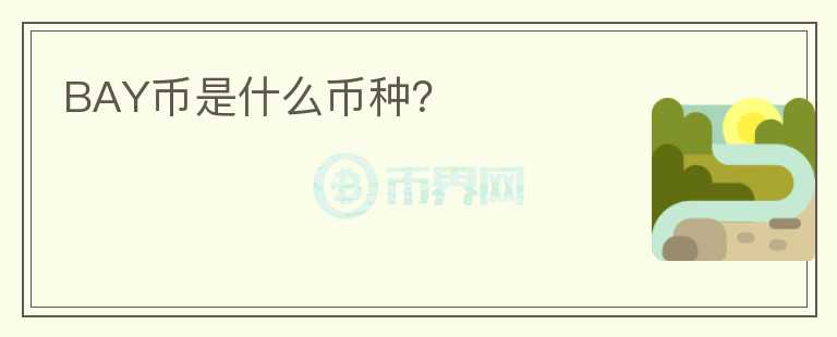 BAY幣是什么幣種？