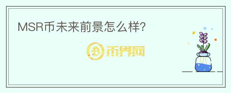 MSR幣未來前景怎么樣？