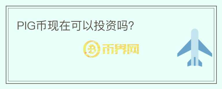 PIG幣現(xiàn)在可以投資嗎？