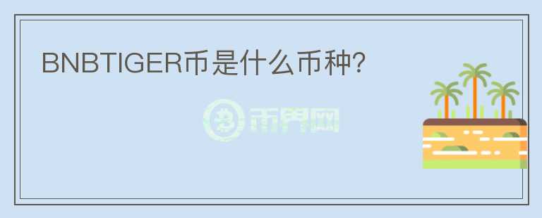 BNBTIGER幣是什么幣種？