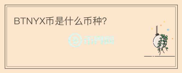 BTNYX幣是什么幣種？