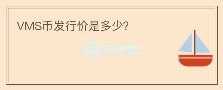 VMS幣發(fā)行價是多少？