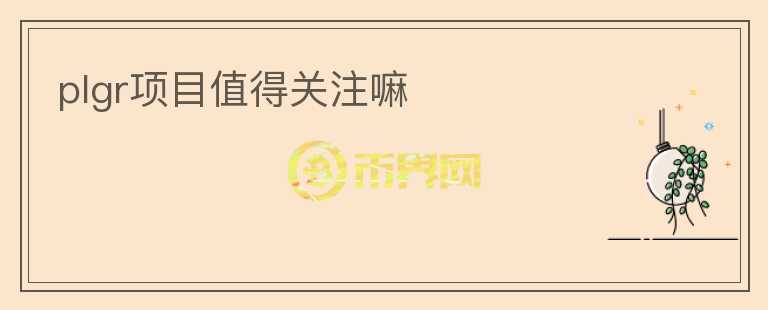 plgr項目值得關(guān)注嘛