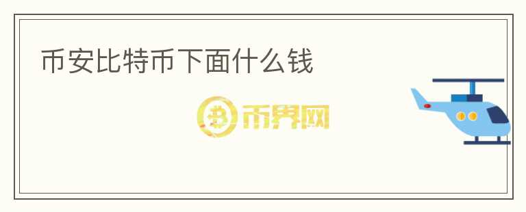 幣安比特幣下面什么錢