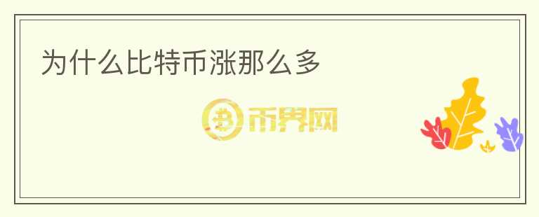 為什么比特幣漲那么多