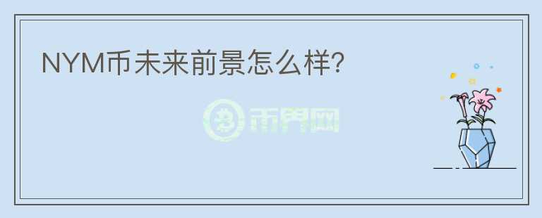 NYM幣未來前景怎么樣？