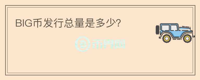 BIG幣發(fā)行總量是多少？