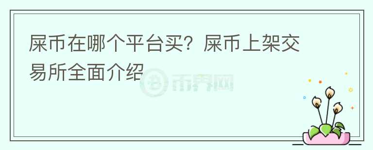 屎幣在哪個(gè)平臺(tái)買(mǎi)？屎幣上架交易所全面介紹