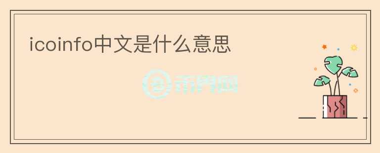 icoinfo中文是什么意思
