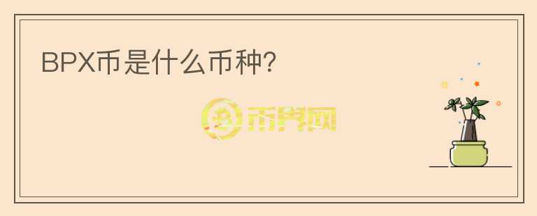 BPX幣是什么幣種？