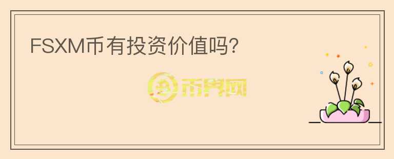 FSXM幣有投資價(jià)值嗎？