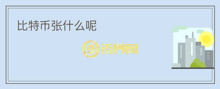 比特幣張什么呢