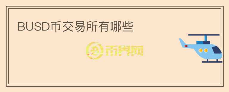 BUSD幣交易所有哪些