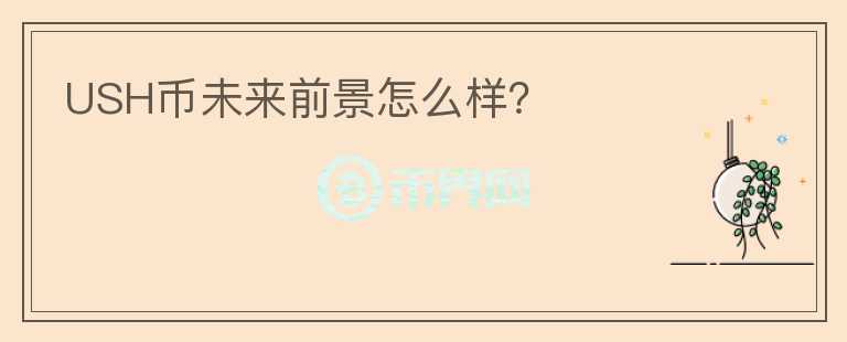 USH幣未來前景怎么樣？
