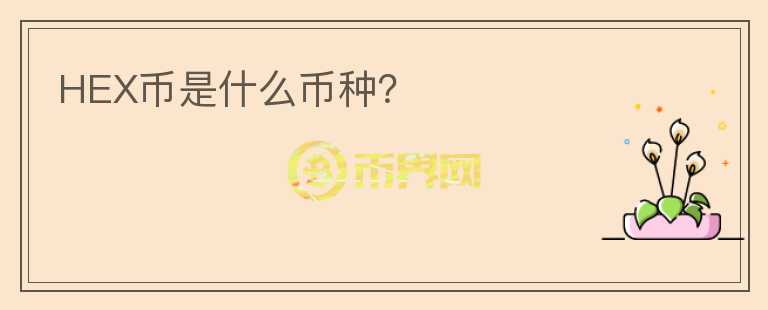 HEX幣是什么幣種？