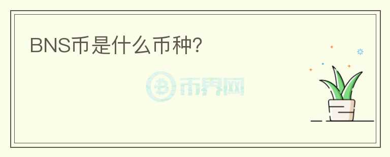 BNS幣是什么幣種？