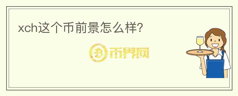 xch這個(gè)幣前景怎么樣？