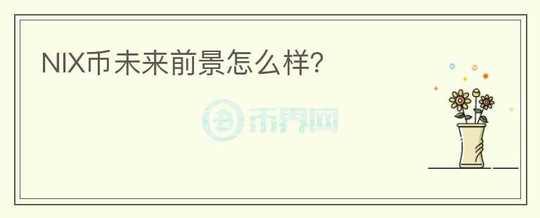 NIX幣未來(lái)前景怎么樣？