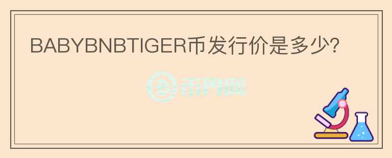 BABYBNBTIGER幣發(fā)行價(jià)是多少？