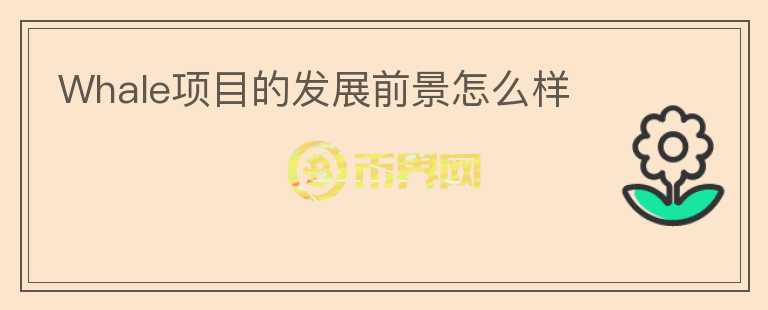 Whale項(xiàng)目的發(fā)展前景怎么樣