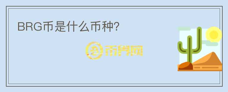 BRG幣是什么幣種？