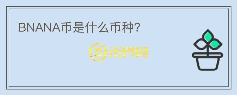 BNANA幣是什么幣種？