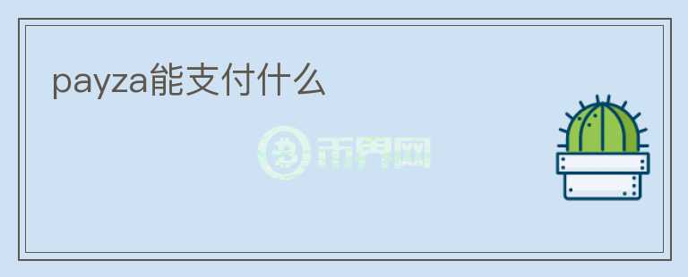 payza能支付什么