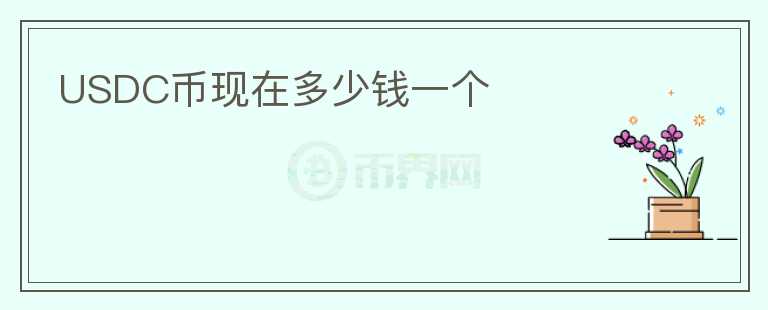 USDC幣現(xiàn)在多少錢一個(gè)