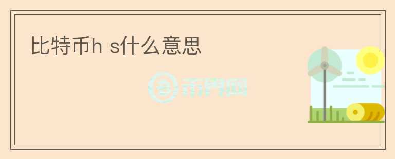 比特幣h s什么意思