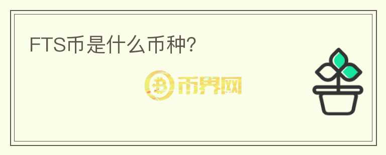 FTS幣是什么幣種？