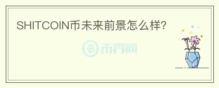 SHITCOIN幣未來前景怎么樣？