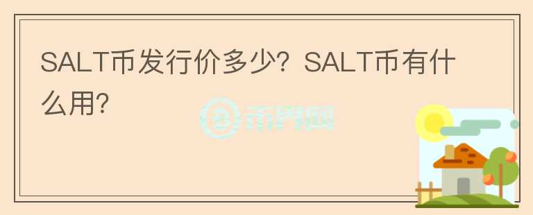 SALT幣發(fā)行價(jià)多少？SALT幣有什么用？
